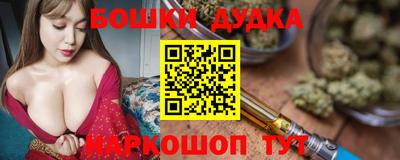 индика Обнинск
