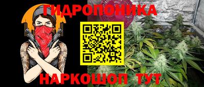 индика Обнинск