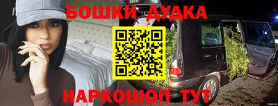 индика Обнинск