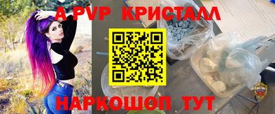 индика Обнинск