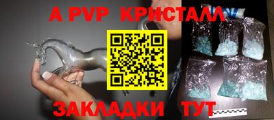 индика Обнинск