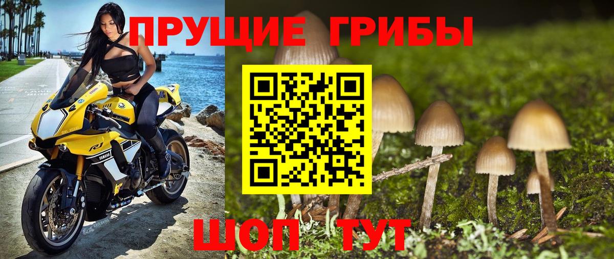 Солнечногорск  Галлюциногенные грибы Magic Shrooms  Вход с VPN  Галлюциногенные грибы мухоморы 