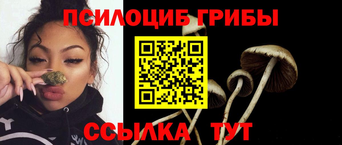 Псилоцибиновые грибы GOLDEN TEACHER Солнечногорск